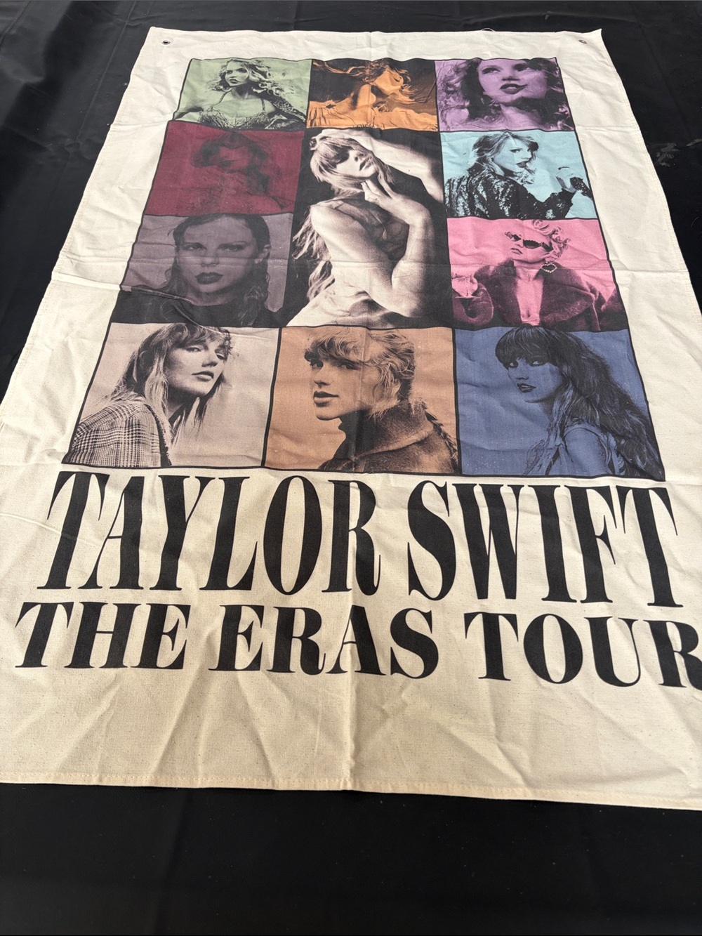 Taylor Swift The Eras Tour Fabric Wall Banner Tapestry 31x48
